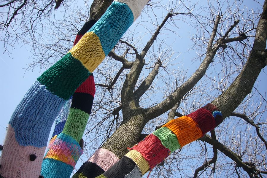 tree yarn bombing